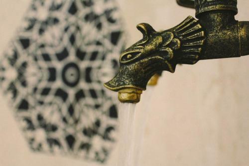 ?sa Begov Hamam Hotel