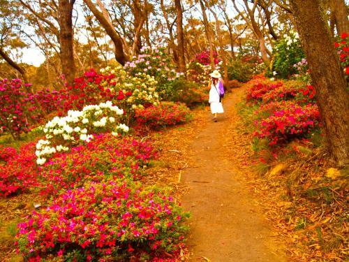 Gardners Inn Hotel