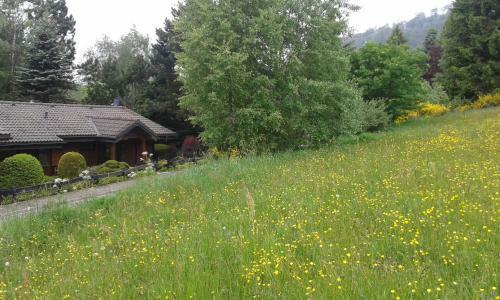 Woodland Lodge Winterberg