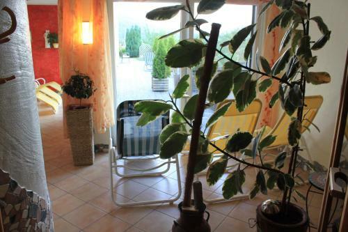 Apartamentos Haus Sch�nblick