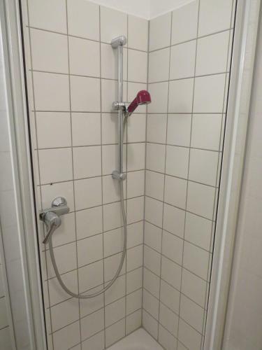 Hostel Lollis Homestay Dresden