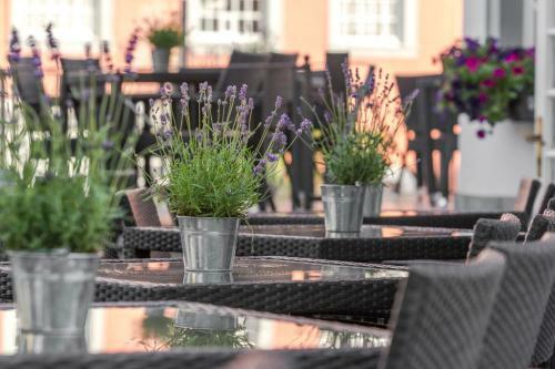 Horchem Hotel-restaurant-caf�-bar