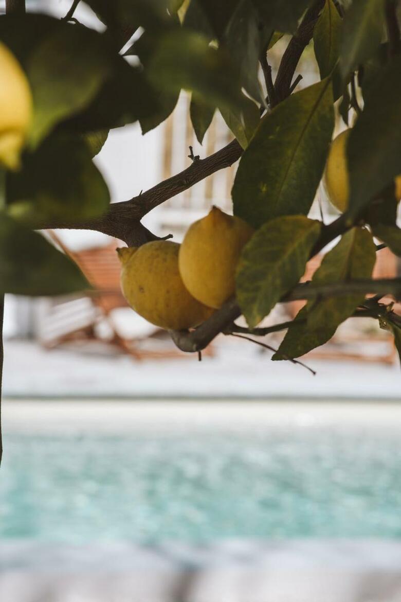 Hotel H�tel Le Sud