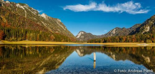Apartamento Ferienwohnungen Beim Zellerb�ck