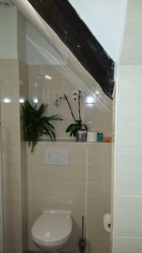 Apartamentos Ferienwohnung-2-im-haus-wildfang