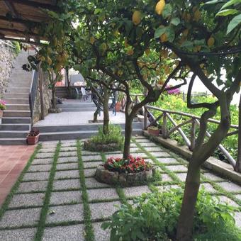 B&B I Limoni