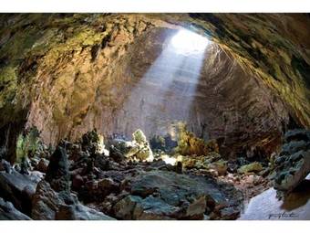 Ver fotos