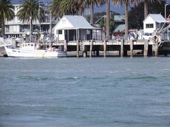 Ver fotos