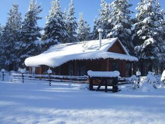 Ver fotos