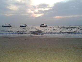 Eden Homestay