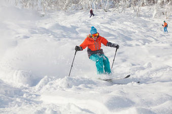 Apartamento Holiday Niseko Snowbird