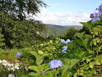 Bed & Breakfast Sandhill House Country Retreat