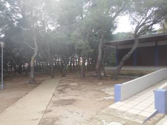 Ver fotos