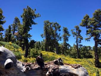 Natural Park