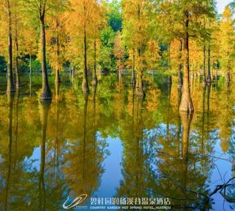 Country Garden Hot Spring Hotel Huizhou