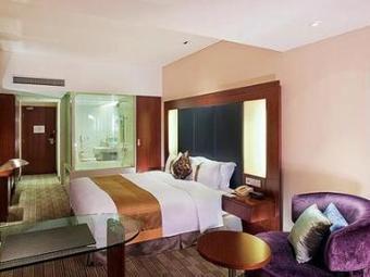 Hotel Holiday Inn Pudong Shanghai