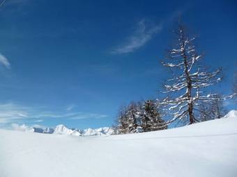 Hotel Domina Parco Dello Stelvio