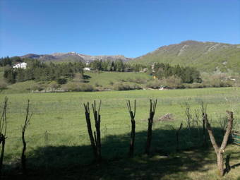 Ver fotos