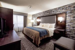 Hotel Comfort Inn Montr�al A�roport
