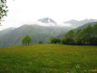 Ver fotos
