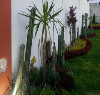 Ver fotos