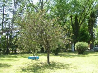 Chalet Con Piscina