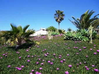 Hostal Timanfaya