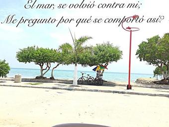 Ver fotos