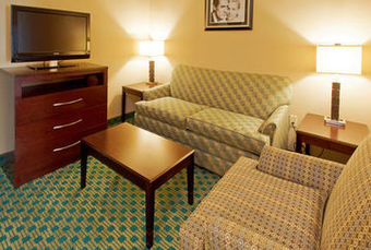 Hotel Holiday Inn Fort Worth North-fossil Creek