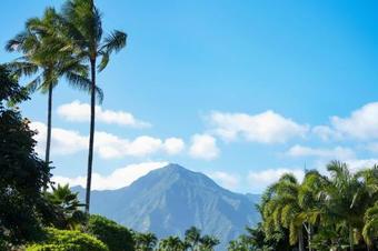 Hale Luia Paradise ?tvnc# 1158