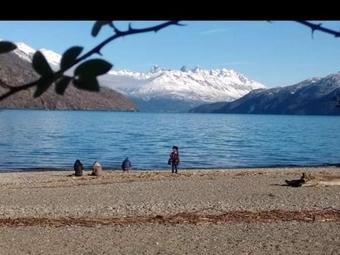Ver fotos