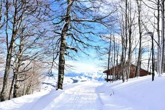 Apartamento Appartement 2 Pi�ces 6 Pers Proche Des Pistes 80067