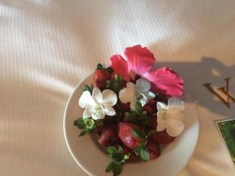 Ver fotos