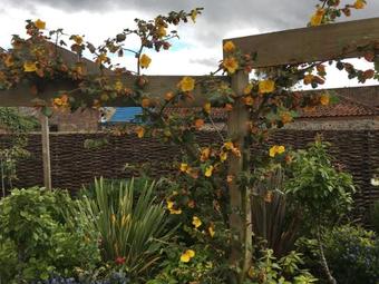 The Green House B&B