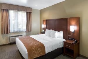 Hotel Comfort Suites