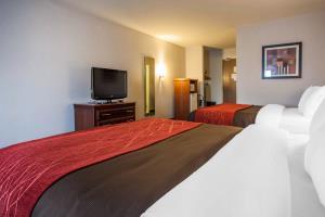 Hotel Comfort Inn