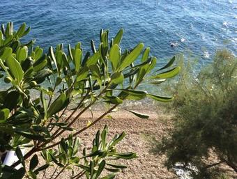 Holiday Home Mala Duba