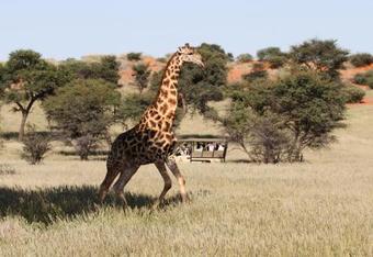 Zebra Kalahari Lodge