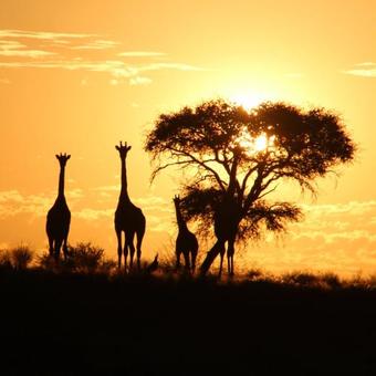 Kalahari Red Dunes Lodge