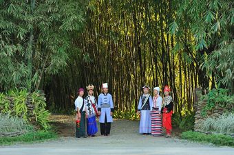 Hotel Malikha Lodge