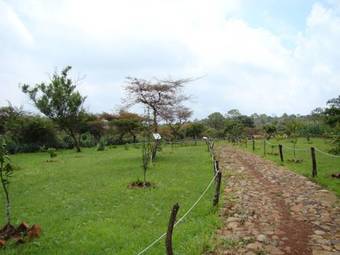 Abba Eco Adventure