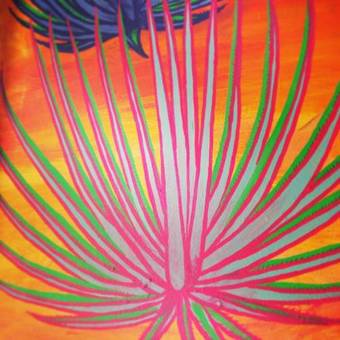 Ver fotos