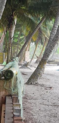 Hostal African Vibrations Beach Resort