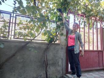 Karine B&B