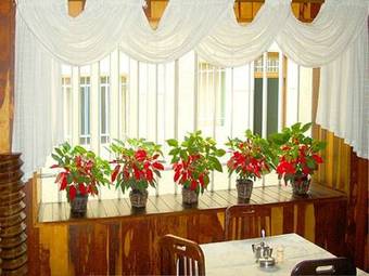 Kontiki Hotel