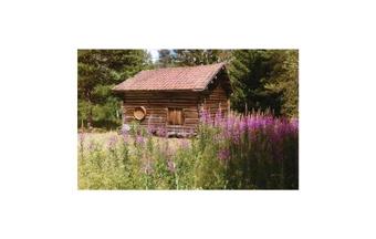 Holiday Home Tallhed Orsa