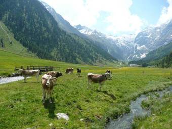 Hostal G�stehaus Landhaus Tyrol