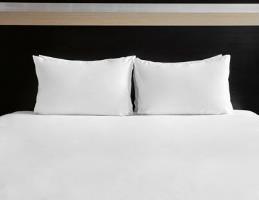 Hotel Holiday Inn Eindhoven
