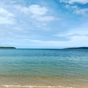 Bunya By The Sea
