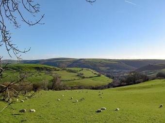 Meadow Croft